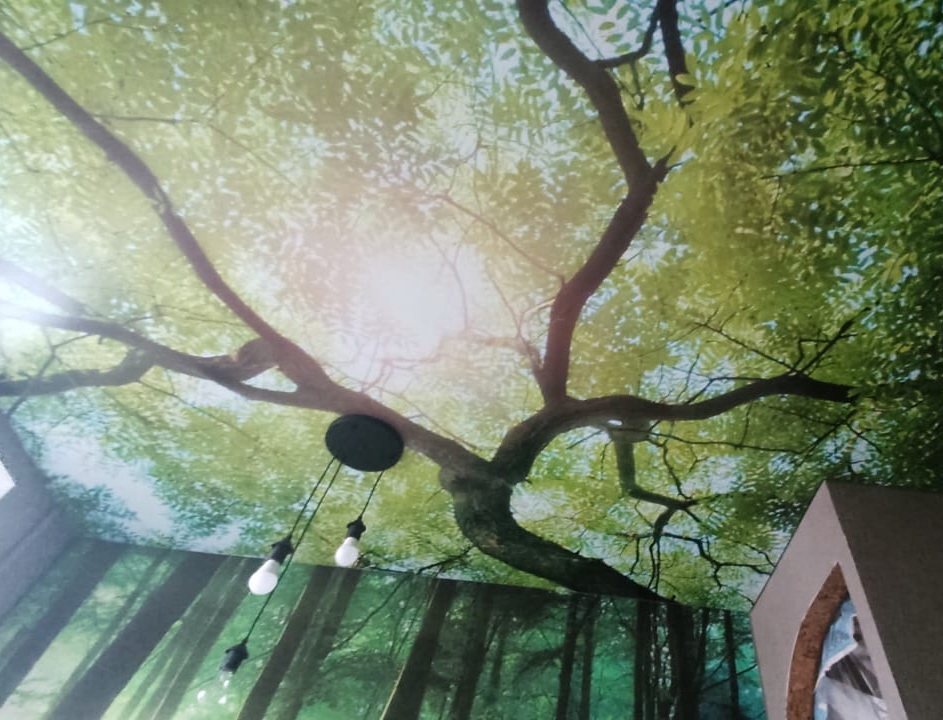 Натяжные потолки с фотопечатью | CATALOG-ART.RU